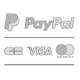 icones mode de paiement
